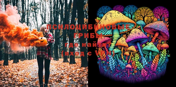 дурь Березники
