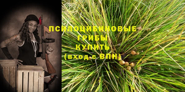 гидропоника Магас