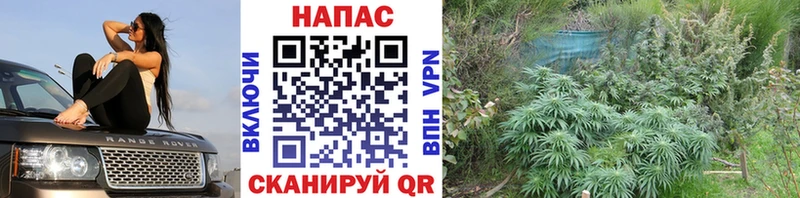 omg   Лабытнанги  Бошки Шишки Bruce Banner 